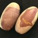 希瓦靈根 Shiva Lingam