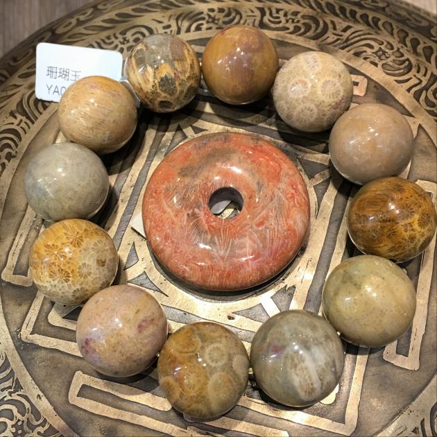 珊瑚玉 Coral Jade 5