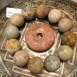 珊瑚玉 Coral Jade