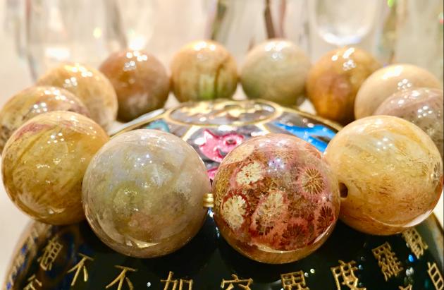 珊瑚玉 Coral Jade 4