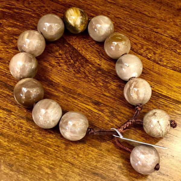木化石 Petrified Wood